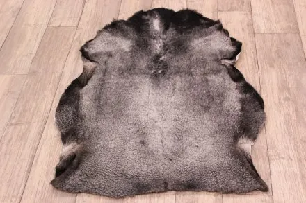 Lammeskind fra Sverige