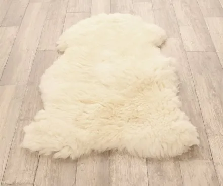 Lammeskind fra Island