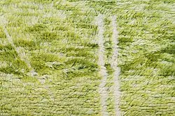 Kelimtæppe Marokkansk berber tæppe Azilal 250 x 160 cm