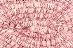 Uldtæppe - Wellington (lyserød)