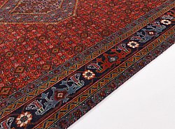 Persisk tæppe Hamedan 281 x 197 cm