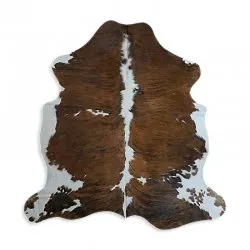 Koskind - Tricolor Exotic N262