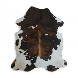 Koskind - Tricolor Exotic N308