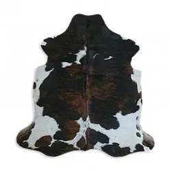 Koskind - Tricolor Exotic N328