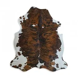 Koskind - Tricolor Exotic N337