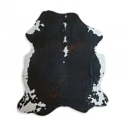 Koskind - Tricolor Exotic N365