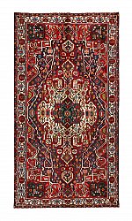 Tapis persan Hamedan 291 x 158 cm