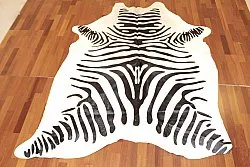 Zebraskind 14