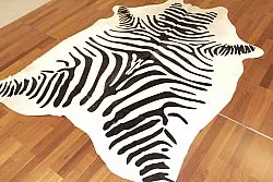 Zebraskind 14