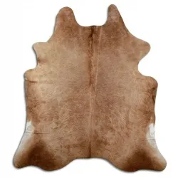 Koskind - Beige 1640