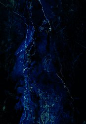 Wilton-tæppe - Zuani (mørkeblå)