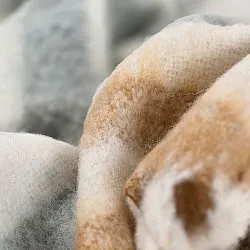 Tæpper - Plaid i uldblandning - Monica (gul)