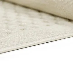 Shaggy Indoor/Outdoor - Rochester (beige)