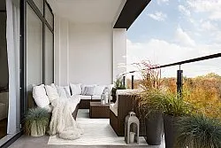 Shaggy Indoor-Outdoor - Baltimore (cream)