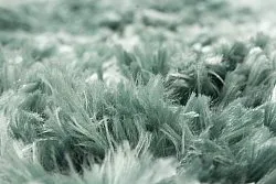 Runde tæpper - Janjira (blå/grønn)