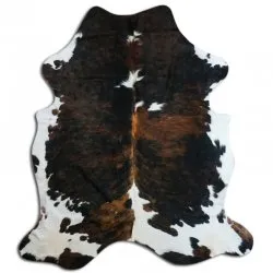Koskind - Tricolor Exotic N183