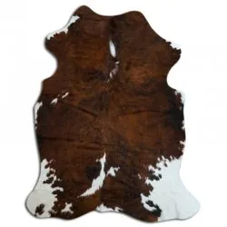 Koskind - Tricolor Exotic N197