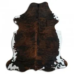 Koskind - Tricolor Exotic N201