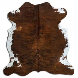 Koskind - Tricolor Exotic N208