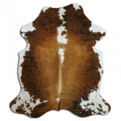 Koskind - Tricolor Exotic N213