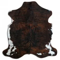 Koskind - Tricolor Exotic N222