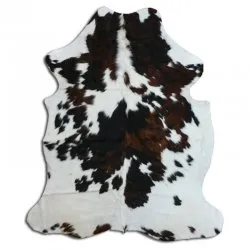 Koskind - Tricolor Exotic N232
