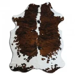 Koskind - Tricolor Exotic N120