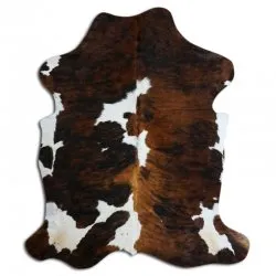 Koskind - Tricolor Exotic N126