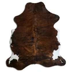 Koskind - Tricolor Exotic N133