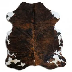Koskind - Tricolor Exotic N136