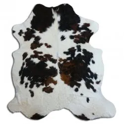 Koskind - Tricolor Exotic N014