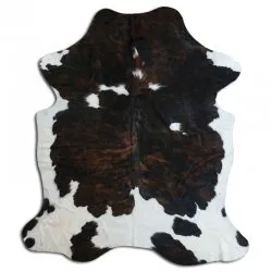 Koskind - Tricolor Exotic N144