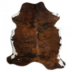 Koskind - Tricolor Exotic N147