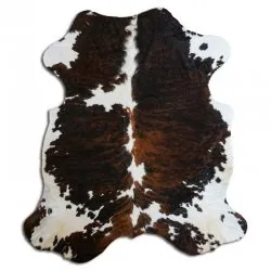 Koskind - Tricolor Exotic N151