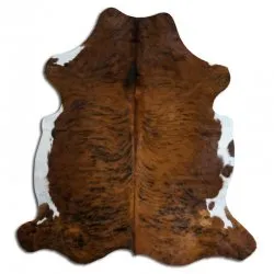 Koskind - Tricolor Exotic N162