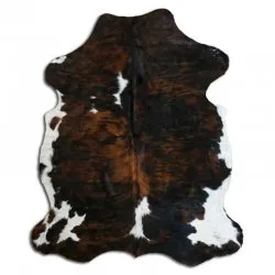 Koskind - Tricolor Exotic N163