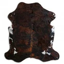 Koskind - Tricolor Exotic N164