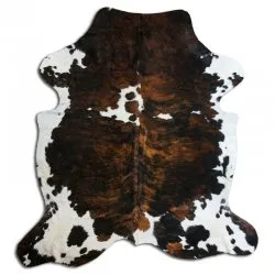 Koskind - Tricolor Exotic N168