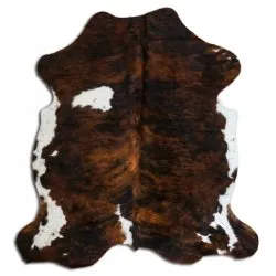 Koskind - Tricolor Exotic N171