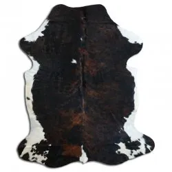 Koskind - Tricolor Exotic N029