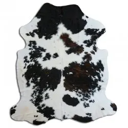 Koskind - Tricolor Exotic N030