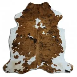 Koskind - Tricolor Exotic N040