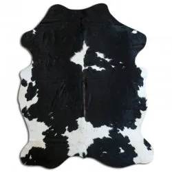 Koskind - Tricolor Exotic N050