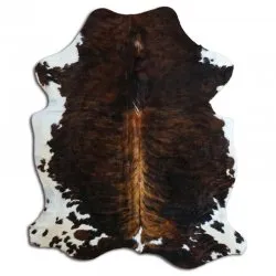 Koskind - Tricolor Exotic N054