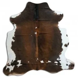 Koskind - Tricolor Exotic N068