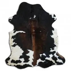 Koskind - Tricolor Exotic N069