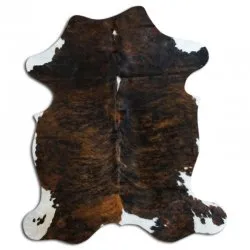 Koskind - Tricolor Exotic N073