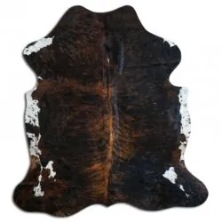 Koskind - Tricolor Exotic N078