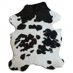 Koskind - Tricolor Exotic N080