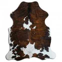 Koskind - Tricolor Exotic N084